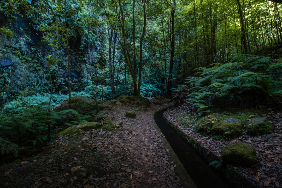 Embracing Nature: The Therapeutic Benefits of Outdoor Travel